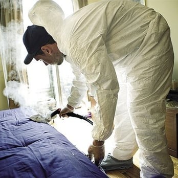 Standard Pest Management - Steaming for Bedbug Control. Tech treating mattress for bedbugs with steam machine. - Pest Control Near Me - Astoria, New York Standard Pest Management - Steaming for Bedbug Control. Tech treating mattress for bedbugs with steam machine. - Pest Control Near Me - Astoria, New York