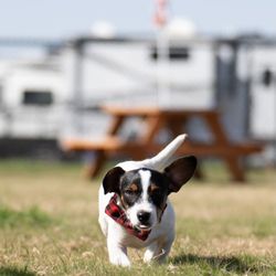 Reel Chill RV Resort