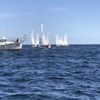 Emma Rose Sailing Charters gift card