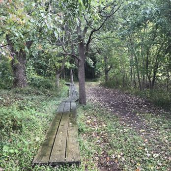Bryan Woods Nature Preserve - Near entrance of the forest preserve there is a boardwalk in case the low lying area is boggy or muddy. - Parks Near Me - Frankfort, Indiana Bryan Woods Nature Preserve - Near entrance of the forest preserve there is a boardwalk in case the low lying area is boggy or muddy. - Parks Near Me - Frankfort, Indiana