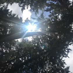 Yogafied Soul - Shift your perspective