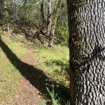 Thousand Trails Russian River - Campgrounds Near Me - Cloverdale, California