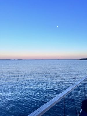 Löyly Helsinki by null