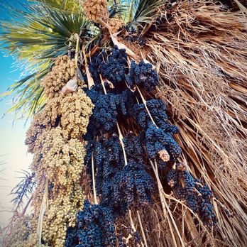 Papago Park - Parks Near Me - Phoenix, Arizona