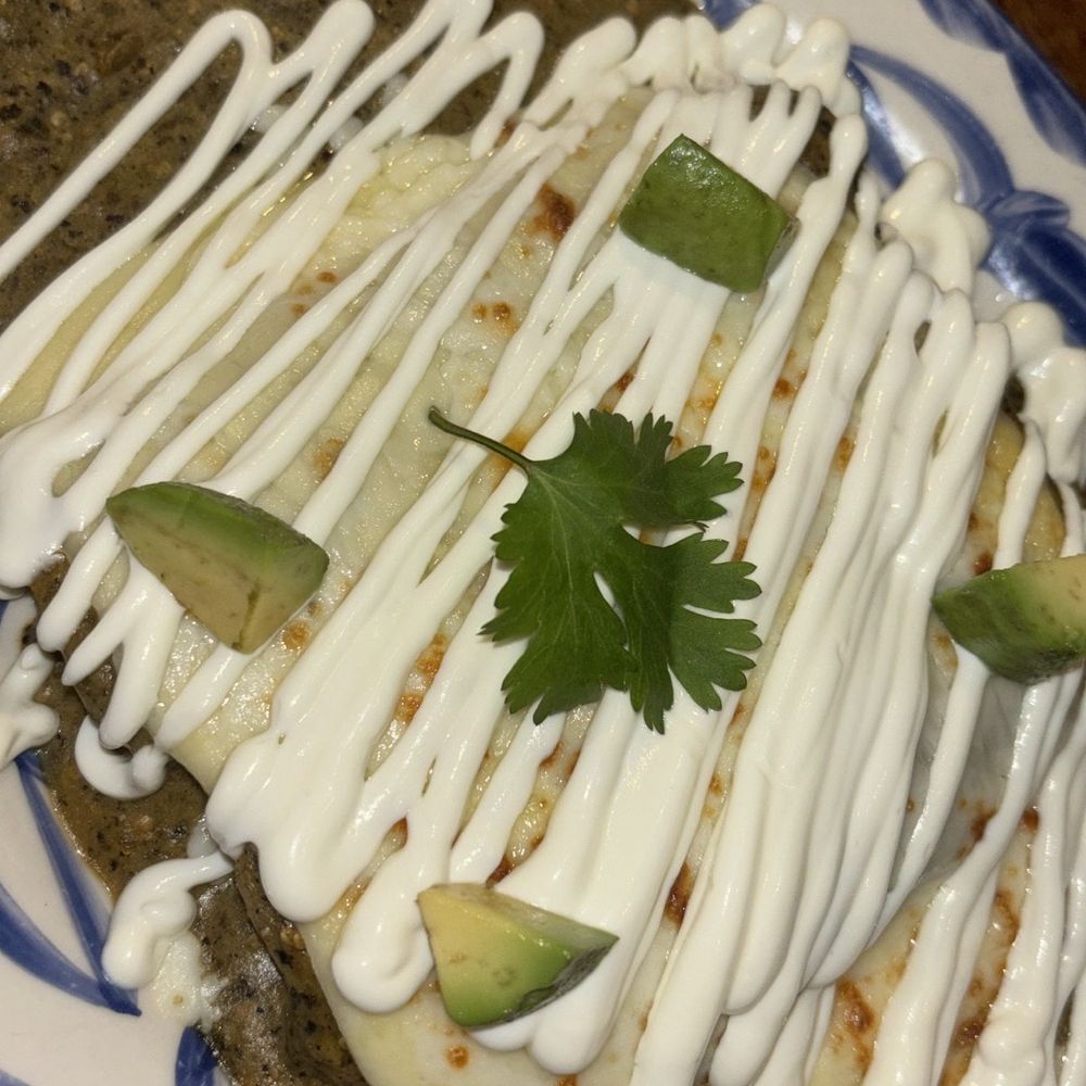 Tacology - Enchiladas Suizas - Mexican Near Me - Miami, Florida Tacology - Enchiladas Suizas - Mexican Near Me - Miami, Florida