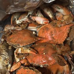 Bamm-Bamm’s Fresh Seafood Market - Steamed blue crab
