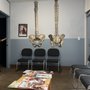 Photo of 51st Street Chiro-Ronald - Ron J Rudometkin DC