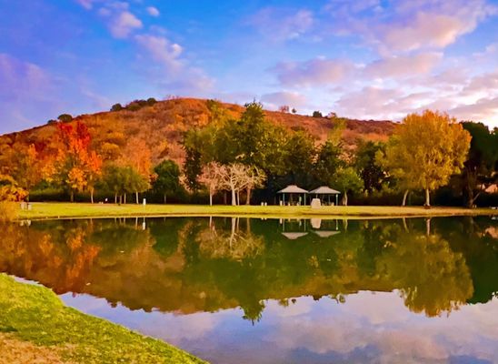 Carbon Canyon Regional Park by null