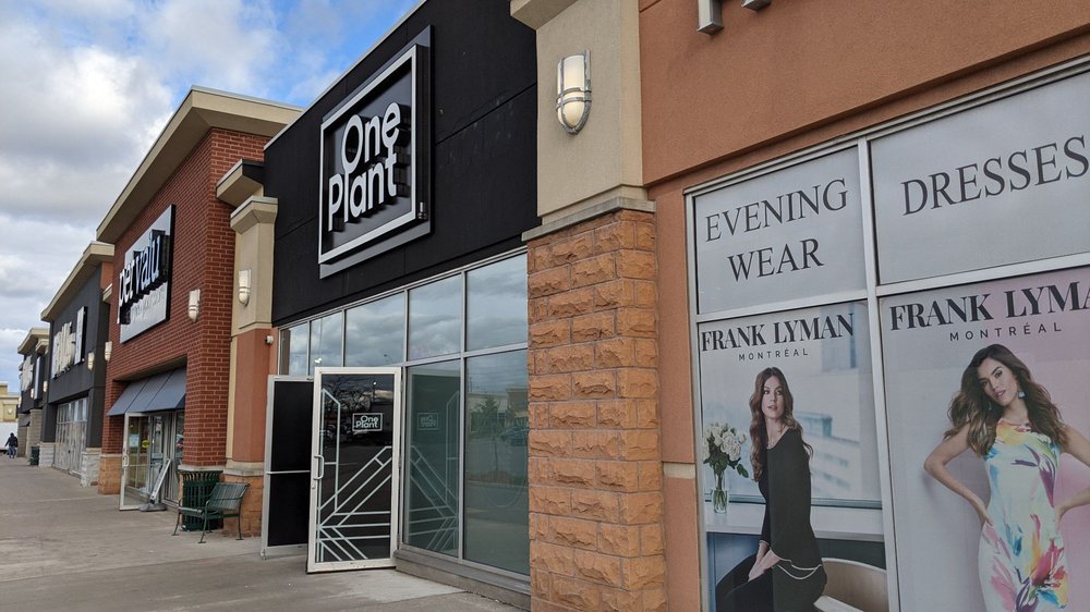 ONE PLANT Updated April 2024 2181 Steeles Avenue W, Toronto, Ontario Cannabis Dispensaries