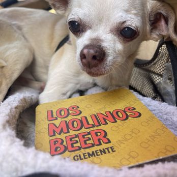 Los Molinos Beer - My bunch buddy - Brewpubs Near Me - San Clemente, California