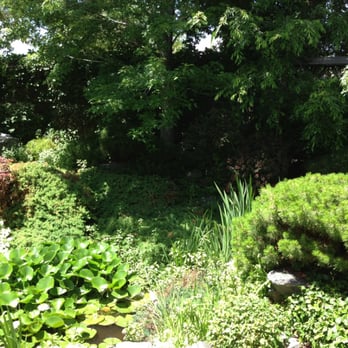 Domo - Garden - Japanese Near Me - Denver, Colorado