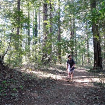 Andrew Molera State Park - ridge trail - Parks Near Me - Big Sur, California