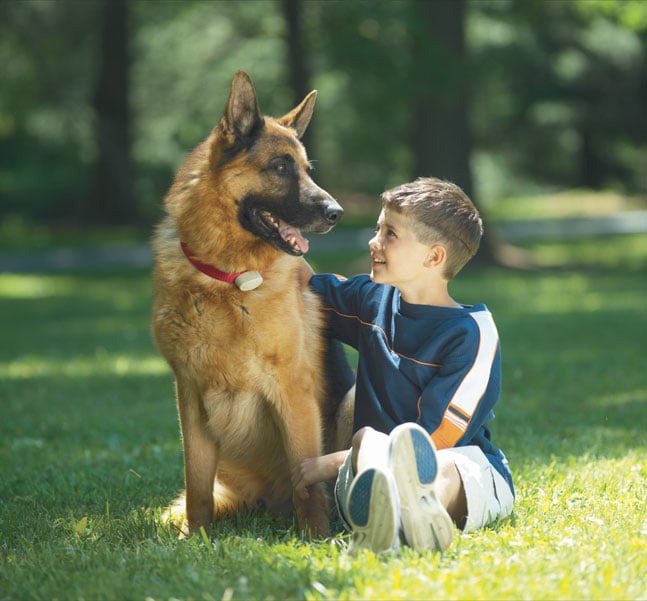 PET STOP OF CENTRAL PA Etters, Pennsylvania Pet Services Phone