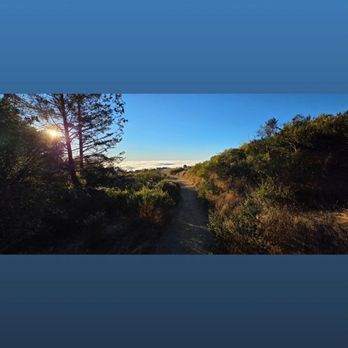 Mount Tamalpais State Park - Parks Near Me - Mill Valley, California