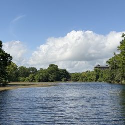 The Meadows Center for Water and the Environment