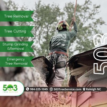 503 Tree Service - Tree Services Near Me - Clayton, North Carolina 503 Tree Service - Tree Services Near Me - Clayton, North Carolina