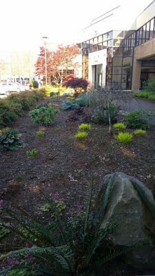 Portland Community College Cascade by null