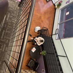 Anytime Fitness - Freshly showered bun picking the dead skin off his feet and throwing it on the floor.