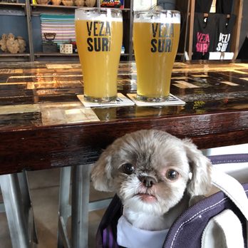 Casa La Rubia - Getting buck wild! - Breweries Near Me - Miami, Florida Casa La Rubia - Getting buck wild! - Breweries Near Me - Miami, Florida