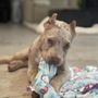 Photo of Morningside Animal Hospital