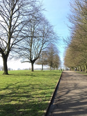 Heaton Park by null