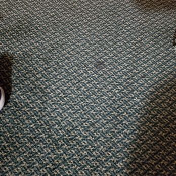 Red Lion Hotel Pendleton - Carpets filthy - Hotels Near Me - Pendleton, Oregon Red Lion Hotel Pendleton - Carpets filthy - Hotels Near Me - Pendleton, Oregon
