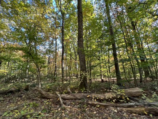 Sugarloaf Mountain by null