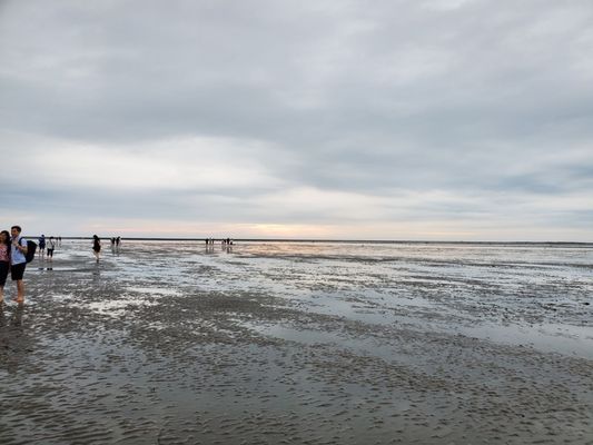 Gaomei Wetlands by null