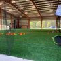Photo of Above Athletic Center