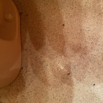 Jackson Mountain Rentals - Ants in the master bathroom upstairs. - Vacation Rentals Near Me - Gatlinburg, Tennessee