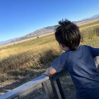 Sweet Berry Farms - Pumpkin Patches Near Me - Cedar Fort, Utah Sweet Berry Farms - Pumpkin Patches Near Me - Cedar Fort, Utah