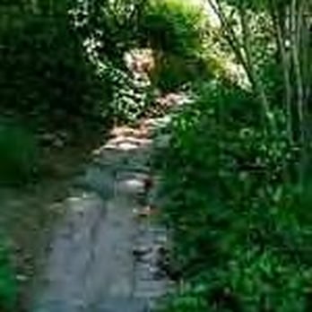 Macondray Lane Historic District - Local Flavor Near Me Macondray Lane Historic District - Local Flavor Near Me