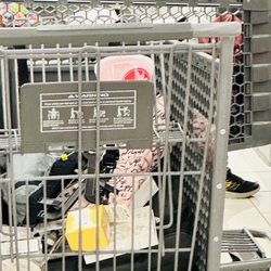 Burlington - Two more carts full to check out