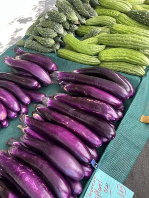 Montrose Farmers Market by null