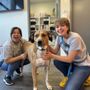 Photo of Dogtopia of White Flint