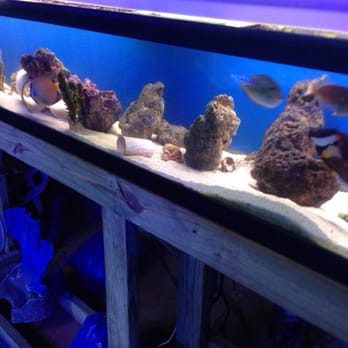 Austin Aqua-Dome - Pet Stores Near Me - Austin, Texas