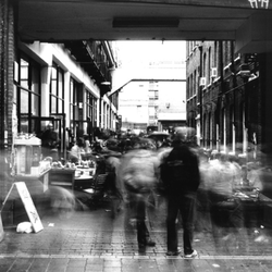 Dray Walk Gallery