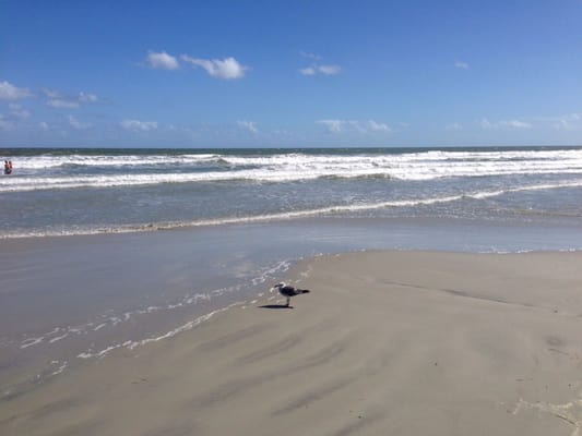 Holiday Inn Club Vacations Cape Canaveral Beach Resort, an IHG Hotel by null