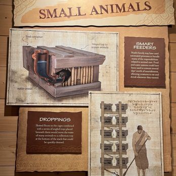 Ark Encounter - Animal management - Museums Near Me - Williamstown, Kentucky
