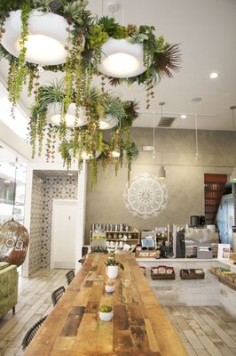 Juicy Ladies by null