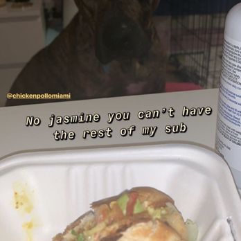 Chicken Pollo - Tofu sub & my model puppy :) - Food Trucks Near Me