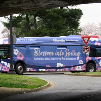 Tidal Basin - Blossom into Spring -- Washington, DC buses. - Lakes Near Me - Washington, DC, District of Columbia Tidal Basin - Blossom into Spring -- Washington, DC buses. - Lakes Near Me - Washington, DC, District of Columbia