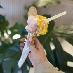 White Peach/Mango Passionfruit in a waffle cone