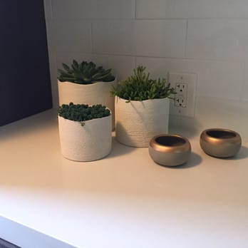 Terra Nova Designs - Some a mix of old and new items in this store. I love it. - Furniture Stores Near Me - Los Angeles, California Terra Nova Designs - Some a mix of old and new items in this store. I love it. - Furniture Stores Near Me - Los Angeles, California