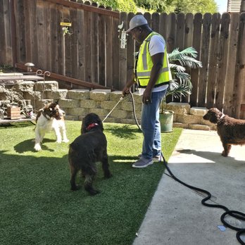Kristis Pet Care - Cleaning up after pick up - Pet Waste Removal Near Me Kristis Pet Care - Cleaning up after pick up - Pet Waste Removal Near Me