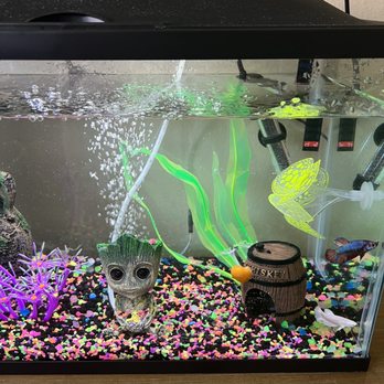Happy Fish Pets - Aquarium Services Near Me - Brea, California