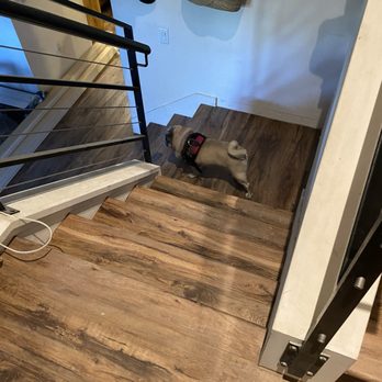 Flooring Pro - Thanks for putting up with Penelope our crazy furkid. - Flooring Near Me - North Hollywood, California Flooring Pro - Thanks for putting up with Penelope our crazy furkid. - Flooring Near Me - North Hollywood, California