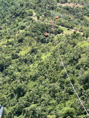 Toro Verde Adventure Park by null