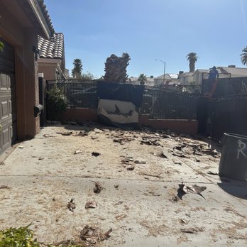 Diamond Tree Service - cutting down our large palm tree - Tree Services Near Me Diamond Tree Service - cutting down our large palm tree - Tree Services Near Me