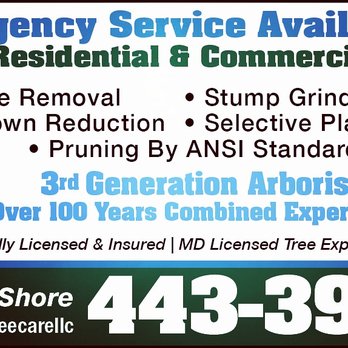 Peninsula Tree Care - Tree Services Near Me Peninsula Tree Care - Tree Services Near Me